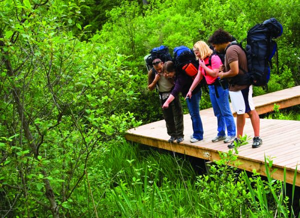 Adventure Rec Hike Hikers stand on a boardwalk