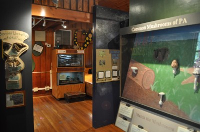 Discovery Room The Discovery Room at Shaver's Creek