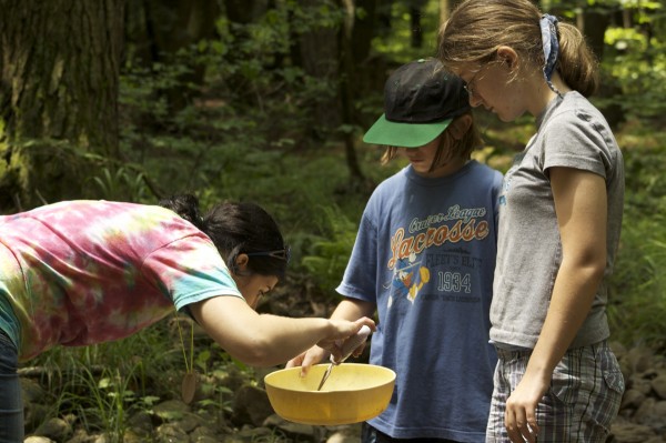 Summer Camp Stream Study Students examine items found in a local stream