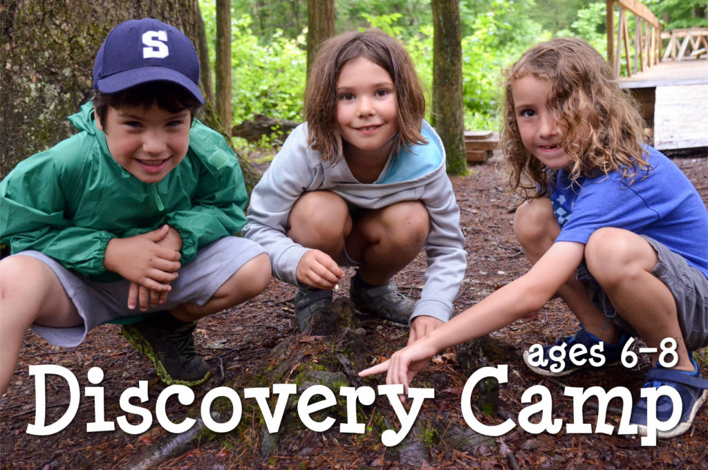 Shaver’s Creek Summer Camps | Nature Camps for Kids Age 4–15 | Central PA