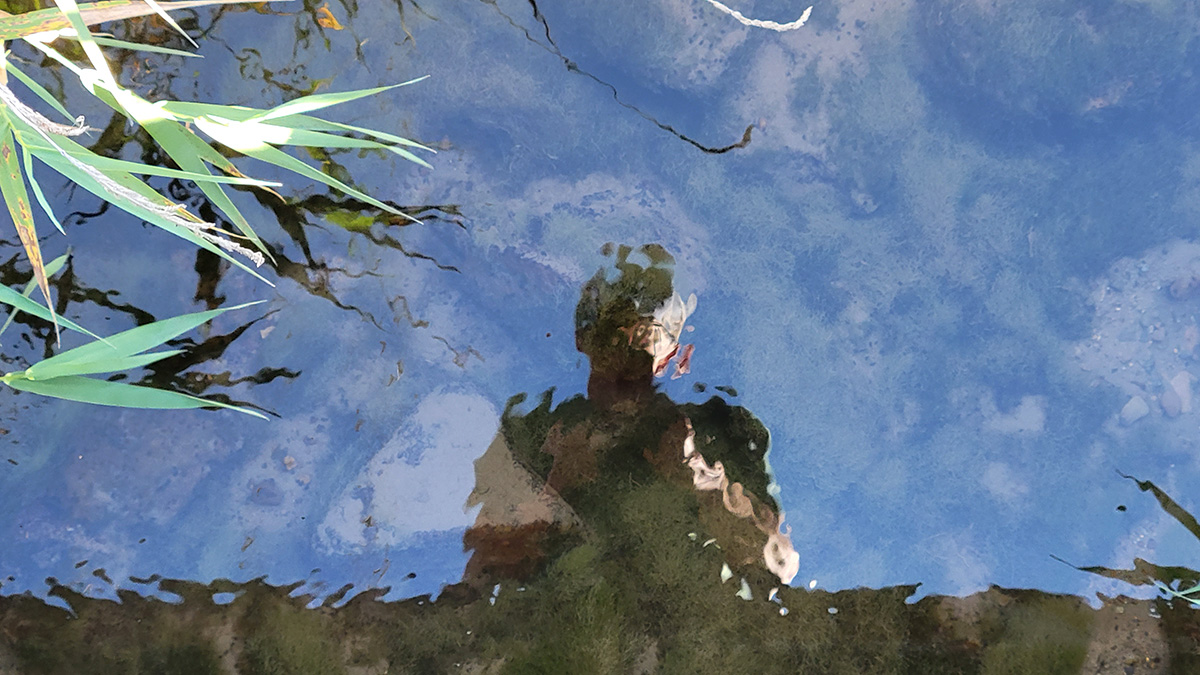 Mike Toolan's reflection in a stream.