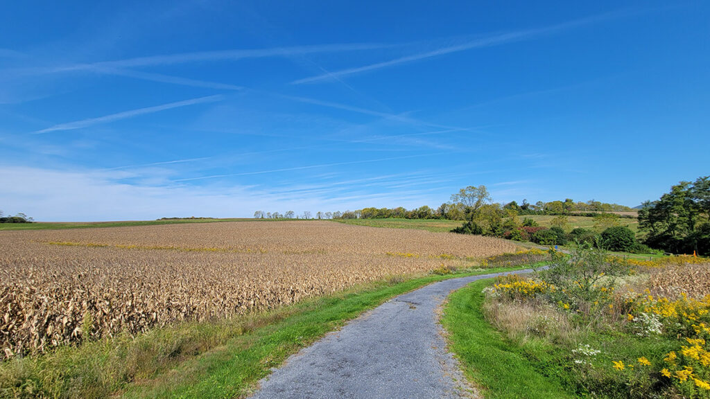 The Musser Gap Greenway trail skirting the edge of a farm field.