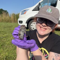 Mikayla Pecht wearing purple rubber gloves and holding a vole.