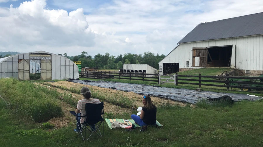 Sketching crops at Plowshare Produce