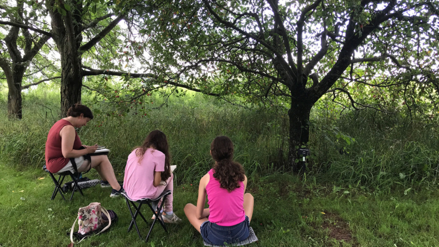 Three people sit in the grass and sketch in journals