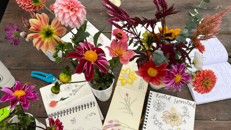 Sketches of flowers on a table with assorted cut flowers in cups