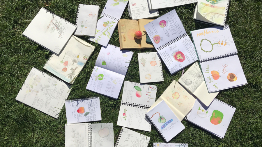 Notebooks with sketches of apples