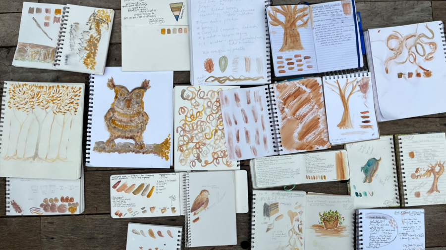 An assortment of notebooks with nature-themed paintings, painted with natural soil pigments