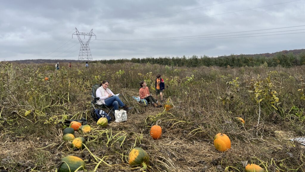 Three people sitting among a pumpkin patch writing in notebooks.