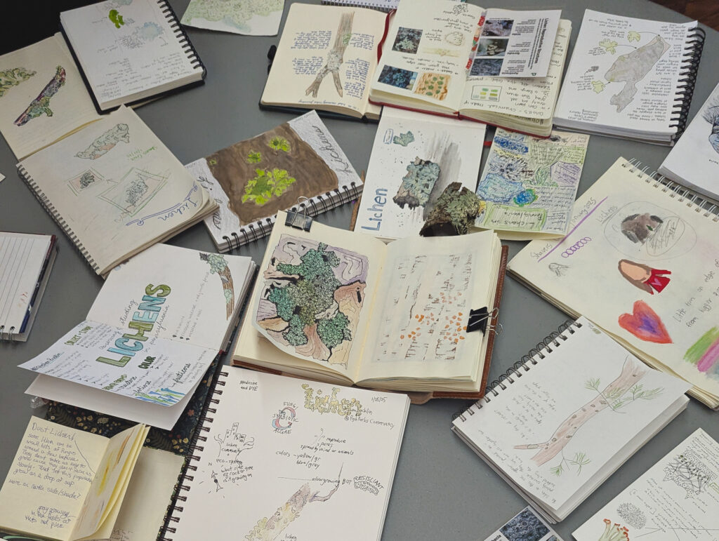 Notebooks scattered among a table show colorful drawings of lichen.